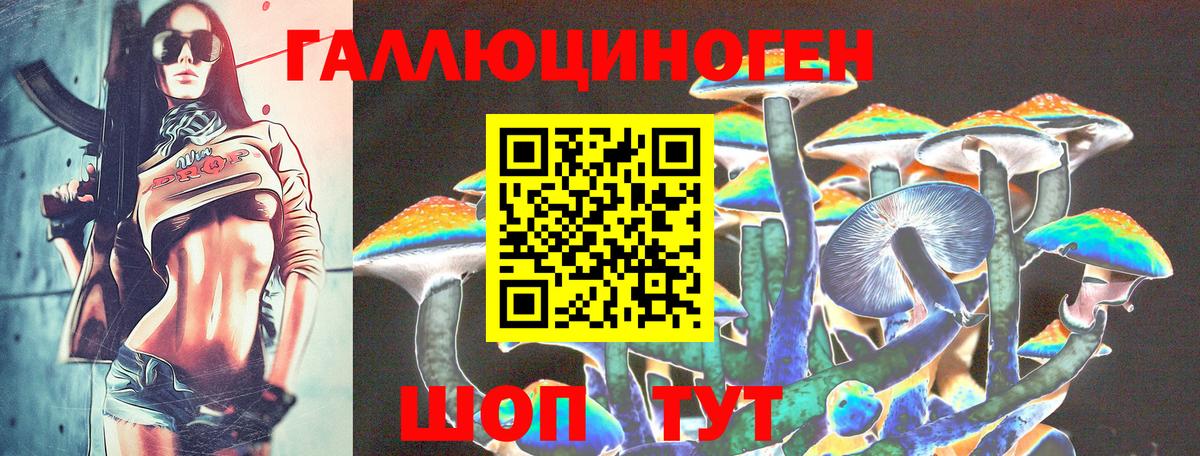 Псилоцибиновые грибы Cubensis  Вход с VPN  Чусовой 